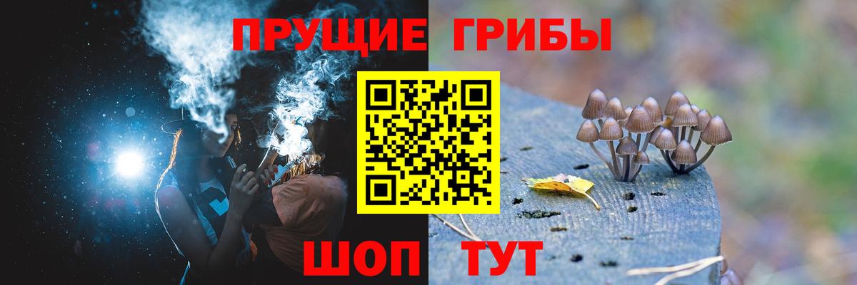 Галлюциногенные грибы GOLDEN TEACHER  Вход с VPN  Псилоцибиновые грибы GOLDEN TEACHER  Ухта 